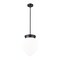 Z-Lite Gideon Pendant, 1-Light, 12.5 In.W x 16 In.H, Matte Black/Etched Opal 1945P12-MB - alternate 5